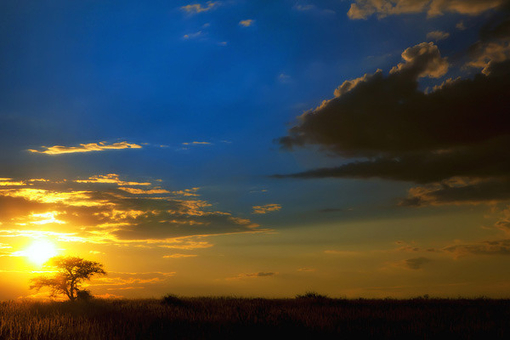 关于大学生调查报告范文